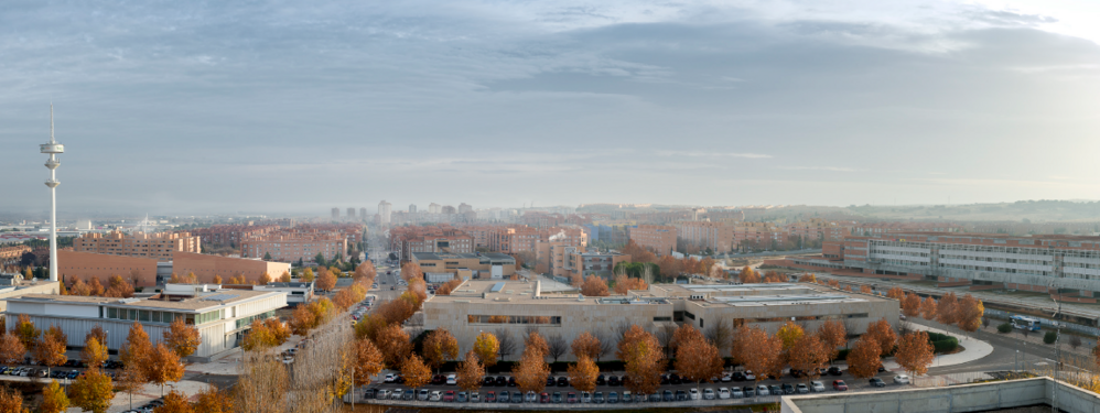 Panorámica Poligono